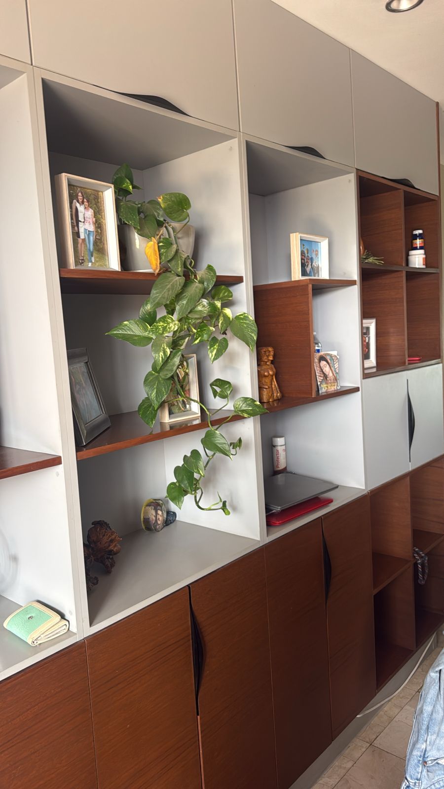 El estudio de los abuelos